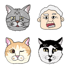 The silver tabby cat & its owner emoji