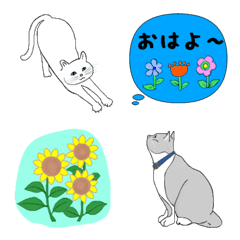 Everyday cat Emoji for daily use