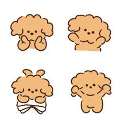 Brown fluffy puppy