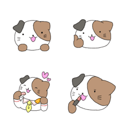 Everyday Nanmaru