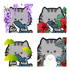 Sabatra cat Meme-chan pictogram