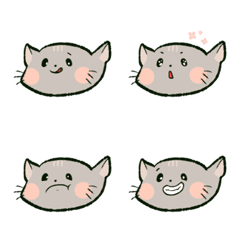 一隻貓 ✧
