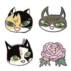 flowernamescats
