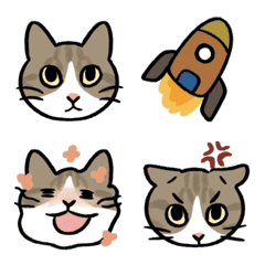 Rocket Cat Emojis