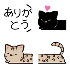 Cats move emoji that can used every day4