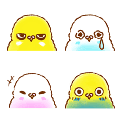 Funny birds! (Colorful budgies)
