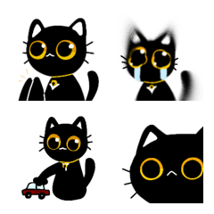 Money Black Cat