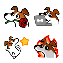 Jack Russell Terrier move cute (remake)