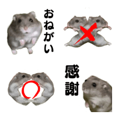 Hamster Achan Everyday Emoji