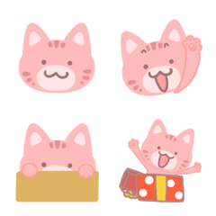 분홍 고양이 핑코