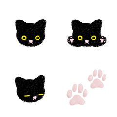 poker face fluffy black cat