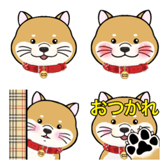 Shiba Inu Yuri-chan everyday use Emoji