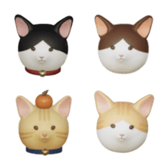 red bean meow & friends...