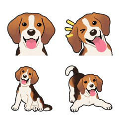 Beagle(dog)