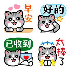 Douhua cat daily life Animated.