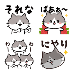 Loose bicolor cat emoji 2
