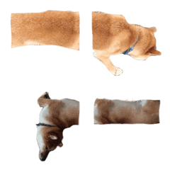 SHIBA dog yushiro emoji3
