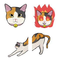 mikeneko cats with bells