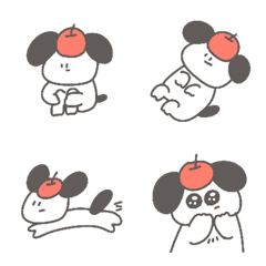 Dodoa/apple dog