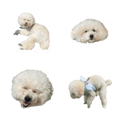 white dog mofumofu Emoji