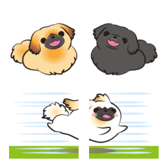 Pekinese!! Animation Emoji 2