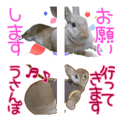 [connecting BIG EMOJI]Little Rabbit Mimi