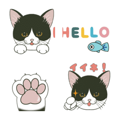 Cute cat moving Emoji 1