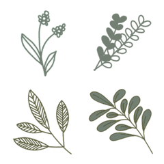 French botanical line drawing