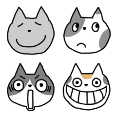 Various faces of cats