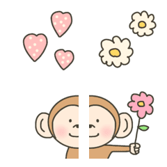 every day monkey cute