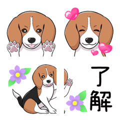 beagle dog Meru Emoji