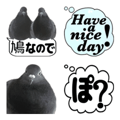 Pigeon photo Emoji 2nd