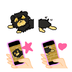 Dogs emoji by Yokotanne