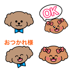 Toy poodle that can be used every day