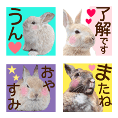 hitokoto rabbit island emoji