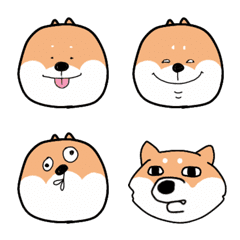 Dog inu shibaken