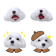 white dog everyday Emoji.