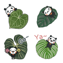 小黑熊貓與觀葉植物的生活動態表情貼