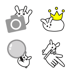 Rabbits for photos and videos