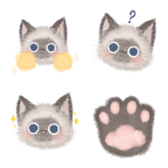Fluffy Siamese Cat