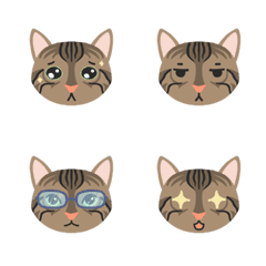 9F_Bengal cat