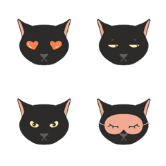 9F_Bombay cat