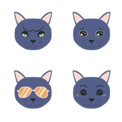 9F_Russian blue cat