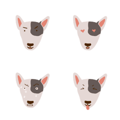 9F_Bull terrier dog