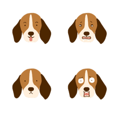 9F_Beagle Dog