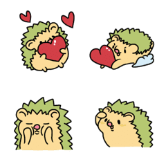 little hedgehog so cute