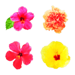 Hawaiian hibiscus flower emoji