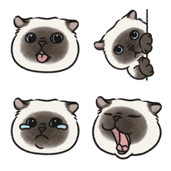 奶油小生emoji (暹羅貓)