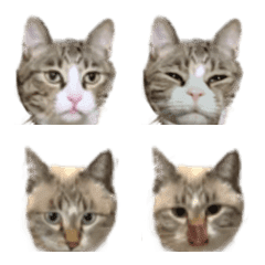 Emoji of Torakichi and Hanamaro