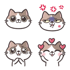 Dai pi cat-funny emoji
